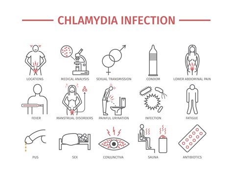 Sheryl Recinos, M. . Tested negative for chlamydia and gonorrhea but still have symptoms reddit